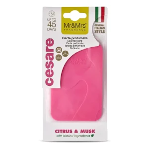 Cesare Card Fuchsia