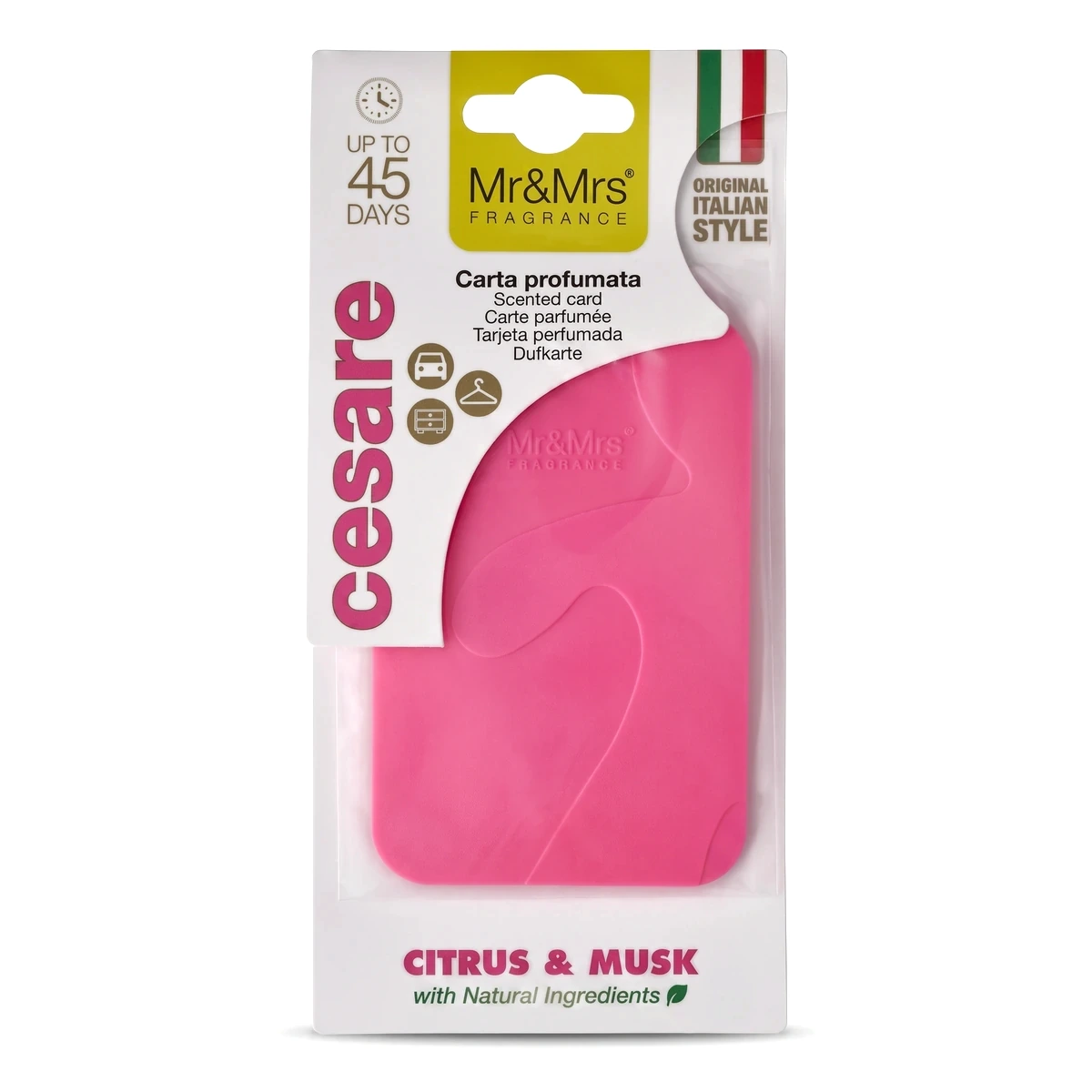 Cesare Card Fuchsia