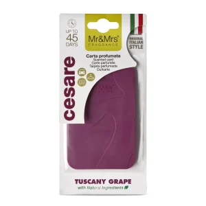 Cesare Card Viola