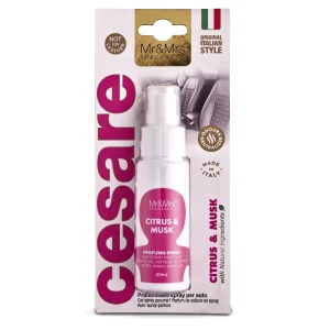 Caesar Spray Fuchsia