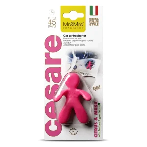 Cesare Fuchsia